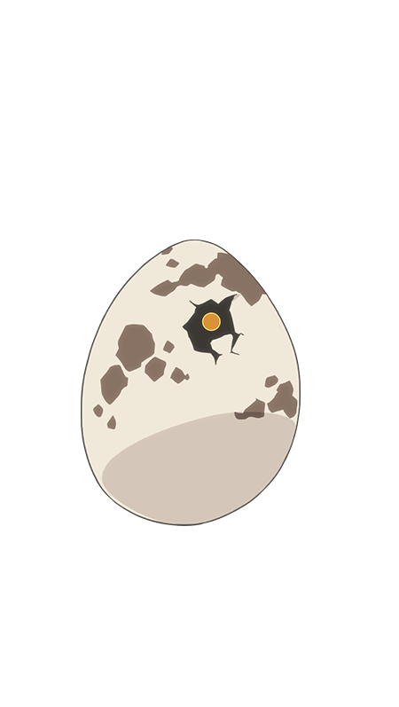 ドラゴンエッグ